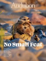 Audubon Magazine
